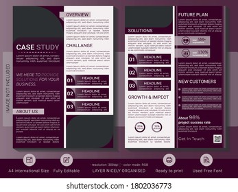 Case study business brochure template design