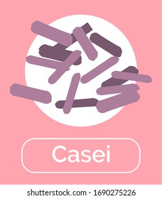 Casei bacteria for healthy digestion and good microflora. Bacterium with beneficiary effect. Probiotics helping immune system, immunity booster. Microorganisms with text, vector in flat style