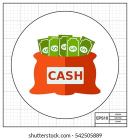 Cash Bag Icon
