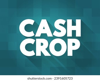 Cash Crop is an agricultural crop which is grown to sell for profit, text concept background