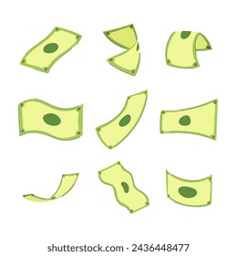 cash set cartoon. stack save, line dollar, fly payment cash sign. isolated symbol vector illustration