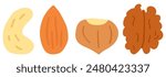 Cashew, almond, hazelnut, walnut. Collection on nuts. Flat design. Hand drawn illustrations on white background.