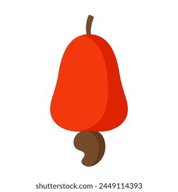 Cashew apple flat vector illustration clipart isolated on white background