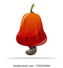 Cashew apple fruit vector isolated illustration