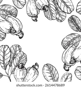 Cashew branch frame with fruit. Hand drawn ink vector illustrations. Template for label design of vegetarian products, desserts and nuts