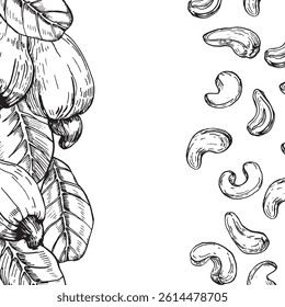 Cashew branch frame with fruits and seeds. Hand drawn ink vector illustrations. Template for label design of vegetarian products, desserts and nuts