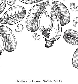 Cashew branch frame with fruits and seeds. Hand drawn ink vector illustrations. Template for label design of vegetarian products, desserts and nuts