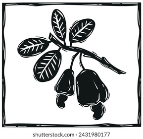 Cashew branch with leaves and fruits. Cordel woodcut style. Vector illustration