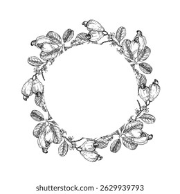 Cashew branch wreath with fruits and seeds. Hand drawn ink vector illustrations. Template for label design of vegetarian products, desserts and nuts