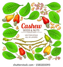 Cashew Elements Set On White Background