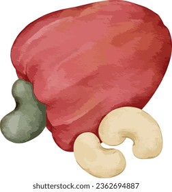 cashew fruit composition  watercolor illustration isolated element