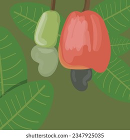 Frutos de cajú con hojas de estilo plano, ilustración vectorial 