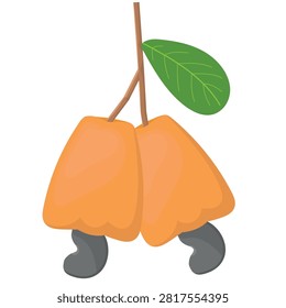 Cashew Fruit Vector. Illustration with Brach and Green Leaf. Nature Concept.