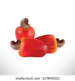 Cashew fruits with leaf and cashew nut realistic vector