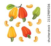 Cashew fruits and cashew nuts collection