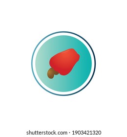 Cashew Fruits Vector Icon Design