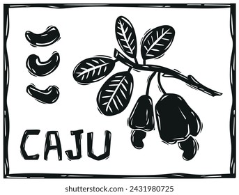 Cashew hand drawing in woodcut style. Fruit, chestnut and leaves. Cordel from northeastern Brazil