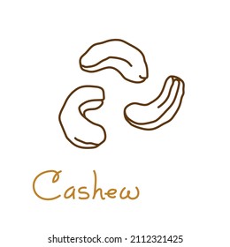 Cashew hand drawn graphics element for packaging design of nuts and seeds or snack. Vector illustration in line art style