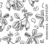 Cashew hand drawn ink vector seamless pattern. Whole nuts, fruit, branch, flowers and leaves. Template for label design