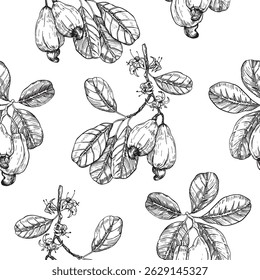 Patrón sin fisuras de Vector de tinta dibujado a mano de anacardo. Nueces enteras, frutas, ramas, flores y hojas. Plantilla para el diseño de etiquetas