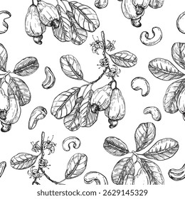Padrão sem emenda de vetor de tinta desenhado à mão de caju. Frutos inteiros, frutos, ramos, flores e folhas. Modelo para o desenho do rótulo