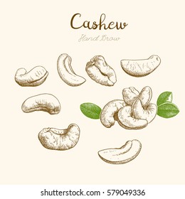 Cashew. Hand-drawn sketch