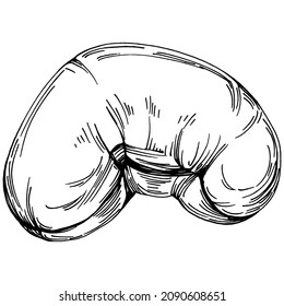 Cashew handgezeichnet Vektorgrafik einzeln auf weißem Hintergrund. Retro-Bauernprodukt für Speisekarte, Marktetikett, Logo, Emblem und Küchendesign. Dekoration für Lebensmittelverpackungen.