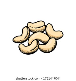 Cashew Illustration Gravur Doodle. Cashew in der Shell