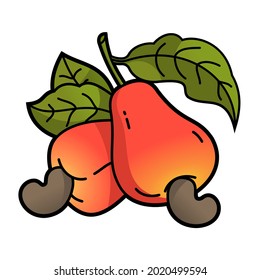 Cashew Illustration. Cashew Icon. Vectorized Cashew.