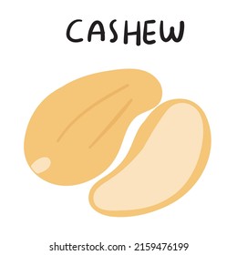Cashew illustration. Vector hand drawn icon on white background.