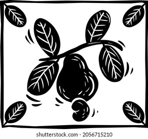 Cashew illustration in woodcut style. Northeastern Brazilian culture.