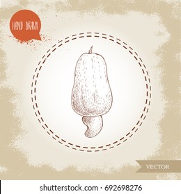 Cashew nut apple sketch hand drawn. Vector illustration of exotic brasilean fruit. Isolated on old background.