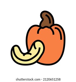 cashew nut color icon vector. cashew nut sign. isolated symbol illustration
