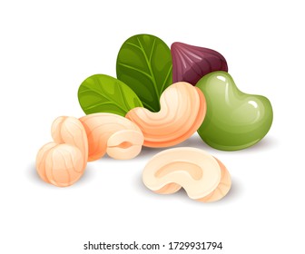 Cashew nut composition, different statements. Whole and cracked nuts, hulled and raw kernels and green leaves. Good for labels and stickers, packaging design. Vector illustration in cartoon style, gro