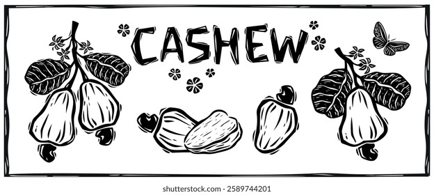 Cashew nut, fruit, flowers and leaves. Hand drawn cashew tree set in woodcut style. Botanical illustration. Vectors isolated on white background.