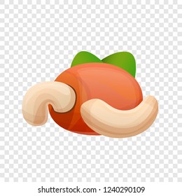 Cashew nut icon. Cartoon of cashew nut vector icon for web design  