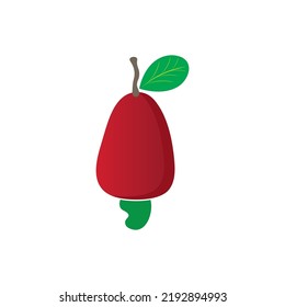 Cashew nut icon vector illustration