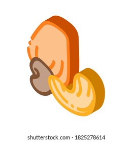 cashew nut icon vector. isometric cashew nut sign. color isolated symbol illustration