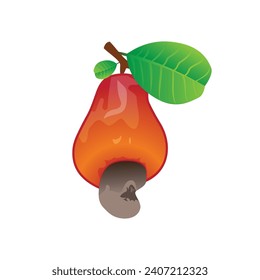 Cashew nut illustration logo. Cashew nuts isolated on white background