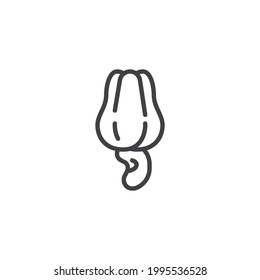 Cashew nut line icon. linear style sign for mobile concept and web design. Fresh cashew outline vector icon. Symbol, logo illustration. Vector graphics
