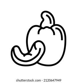 cashew nut line icon vector. cashew nut sign. isolated contour symbol black illustration