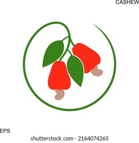 Cashew Nut Logo. Isolated Cashew Nut On White Background