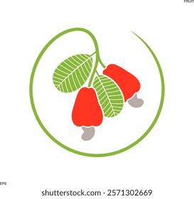 Cashew nut logo. Isolated cashew nut on white background
