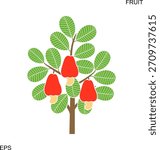 Cashew nut tree logo. Isolated cashew nut tree on white background