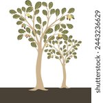 cashew nut tree vector art