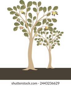 cashew nut tree vector art