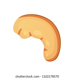 cashew nut vector illustration in cartoon style. Organic food.