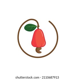 cashew nut vector illustration concept design template