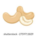Cashew Nut Vector Illustration. Fresh Raw and Roasted Anacardium Occidentale Kernels Isolated on White Background. Healthy Vegan Snack
