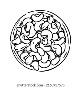 Cashew nut walnut. Cashew hand drawing vector illustration